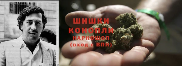 ГАЛЛЮЦИНОГЕННЫЕ ГРИБЫ Пролетарск