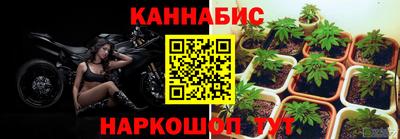 дживик Жуковский